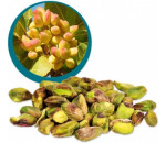 Pistácie raw BIO loupané nesolené 100g